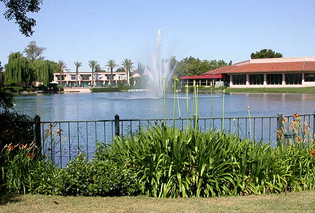 Pond & Fountain