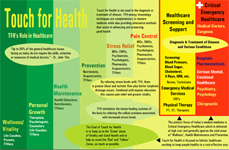 Touch For Health Chart Download