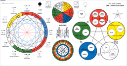 Touch For Health Chart Download