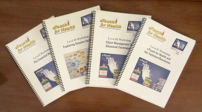 eTouch Workshop Manuals