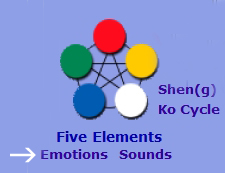 Five Element Emotion Chart