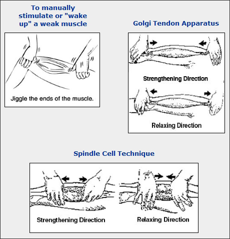 Graphics of O/I techniques