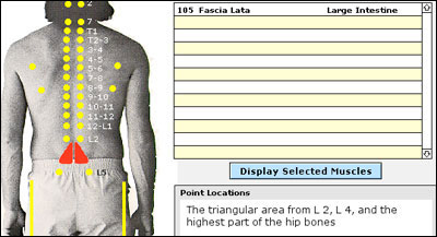 Fasci Lata