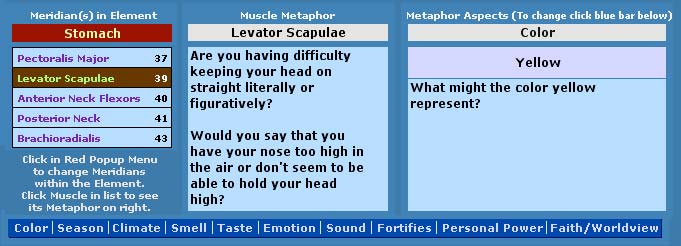 Levator Scapulae Metaphors