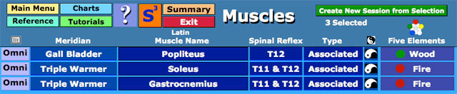 List of Muscles
