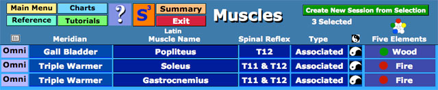 List of Muscles