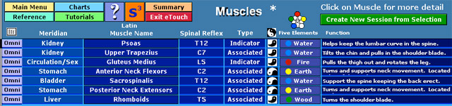 Muscle List