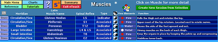 Muscle List