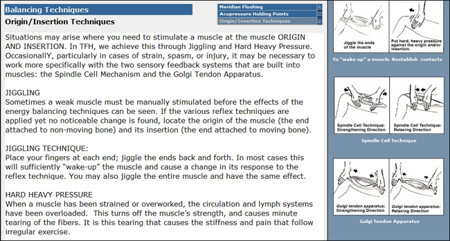 Origin and Insertion