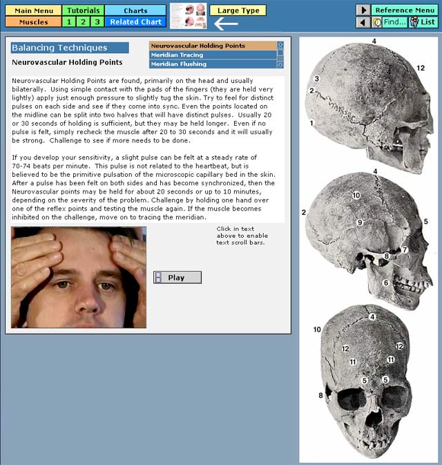 Neurovascular Reference