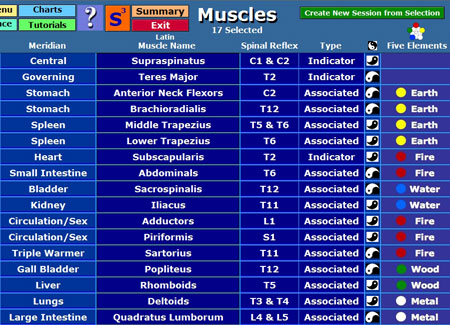 TFH II Muscle List