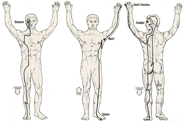 Stomach Meridian Chart